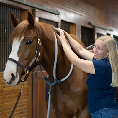 Pulse Equine Advisory Board: Meet the Team Behind Pulse Virtual Training Pulse Equine Advisory Board