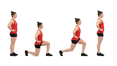 Strength Training For Equestrians: Pulse for a Better Ride Strength training