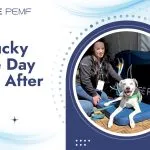 The Quick-Start Guide To PEMF For Personal Use Kentucky Three-Day Event After Glow