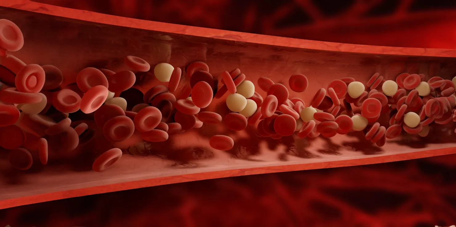 PEMF for athletes Increased Blood Flow And Oxygen Delivery