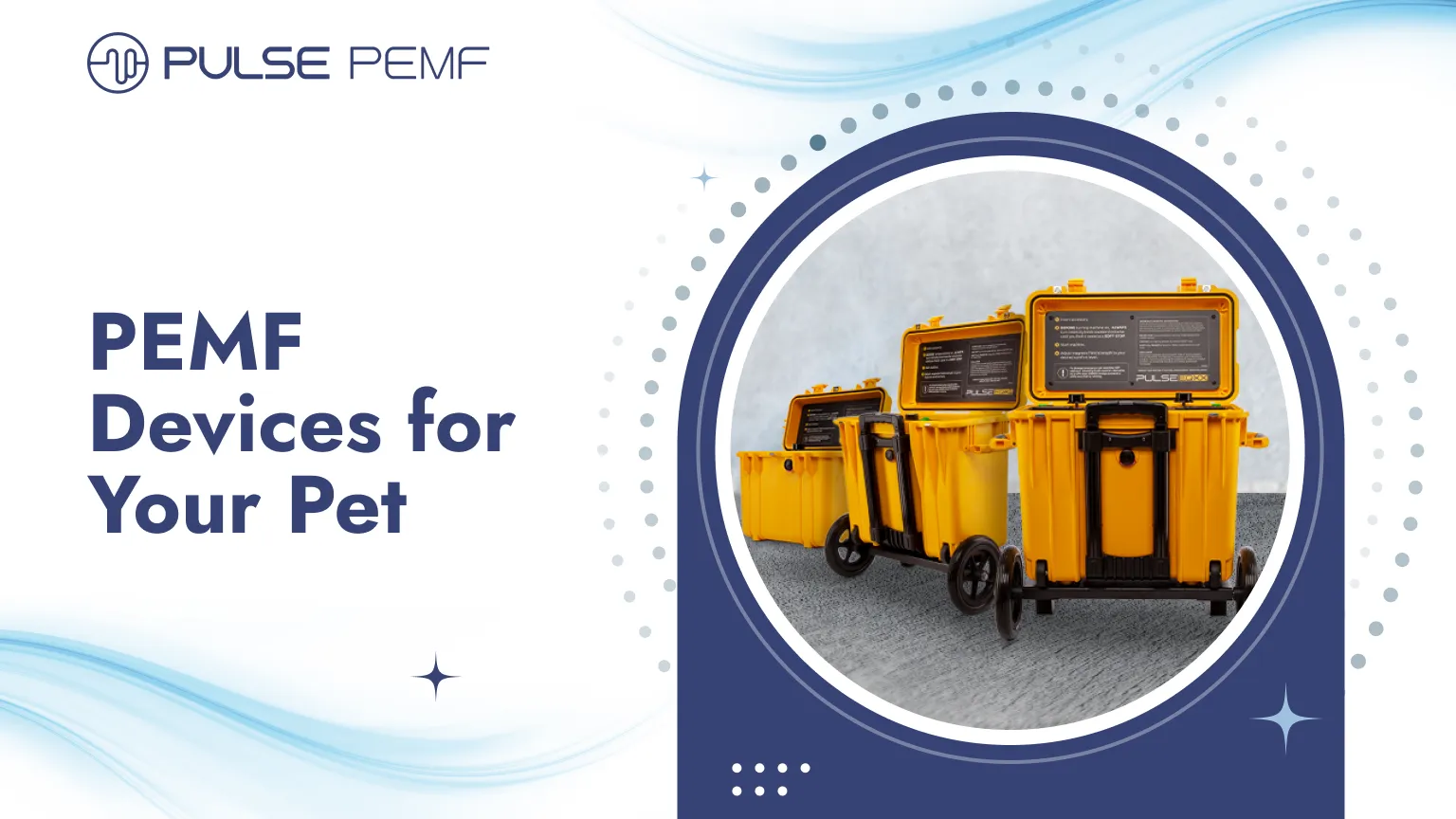 Types of PEMF Devices to Consider for Your Pet PEMF Devices for Your Pet