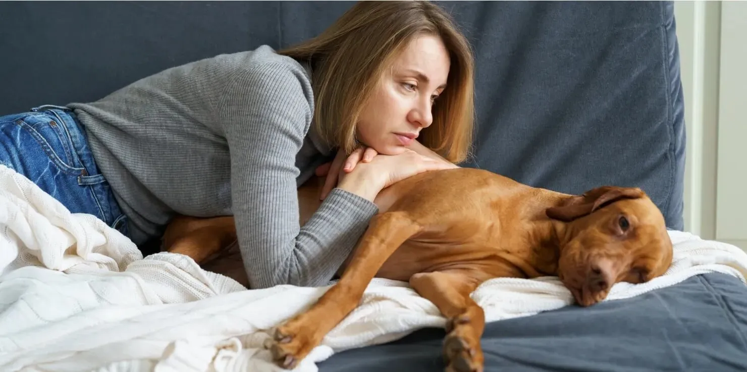 Supporting Your Senior Pet's Wellbeing: Beyond PEMF Behavioral Changes in Aging Pets