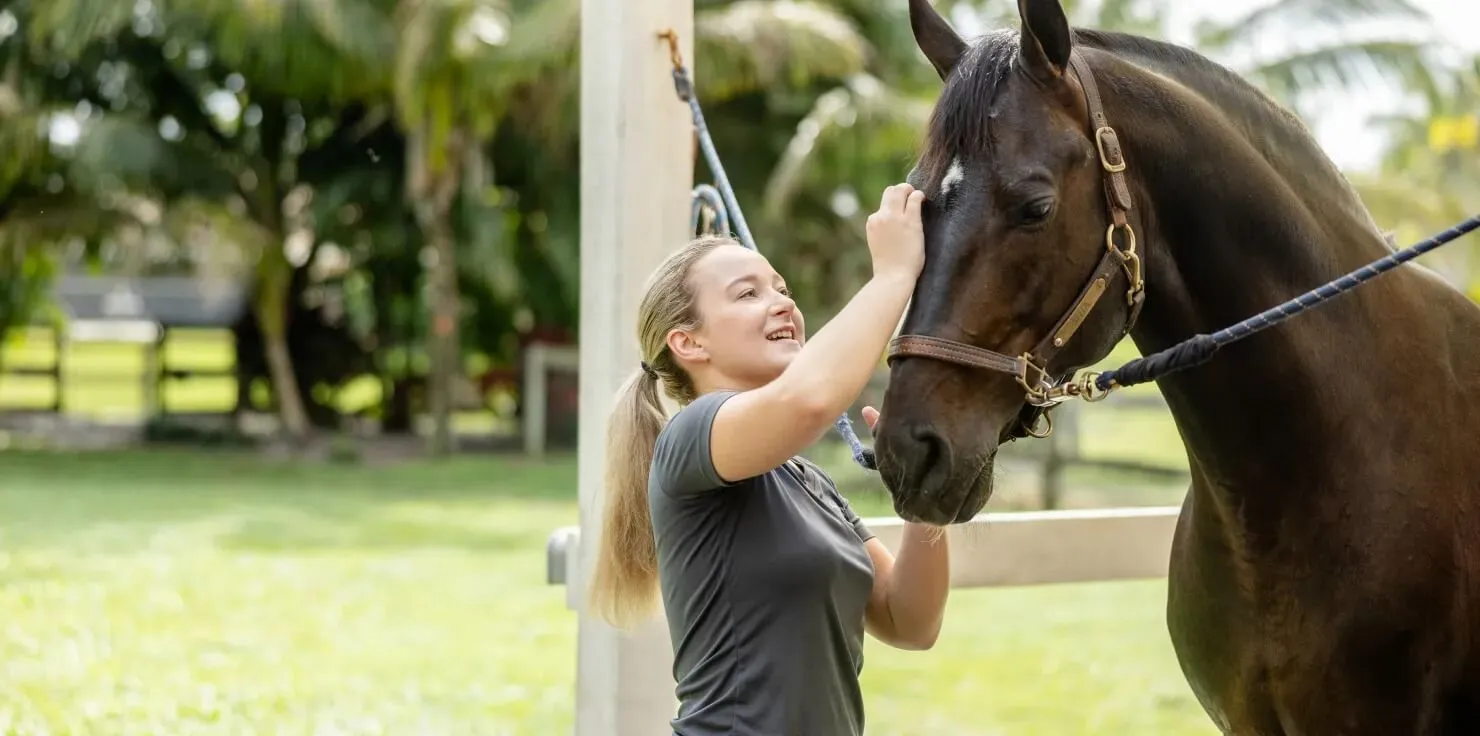 How To Use A PEMF Loop For Horses: A Step-by-Step Guide Monitoring Your Horse