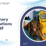 The Quick-Start Guide To PEMF For Personal Use Veterinary Applications of PEMF
