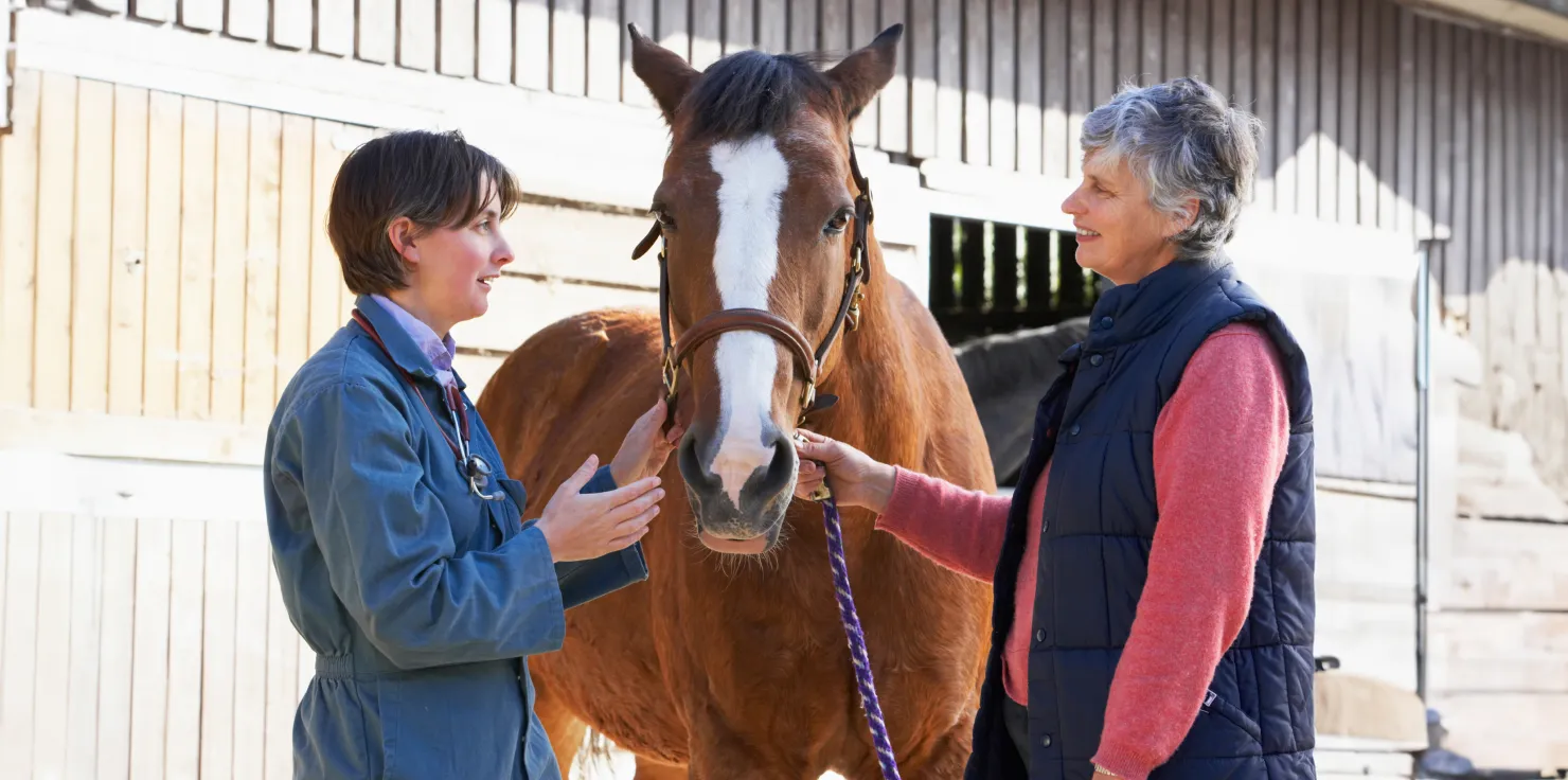 The Future of Horse Care: Innovative Therapies to Watch Educating Owners and Caregivers