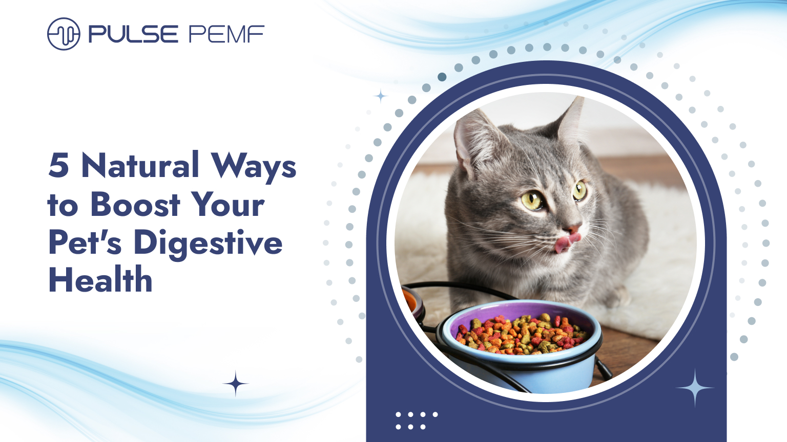5 Natural Ways to Boost Your Pet's Digestive Health Digestive Health