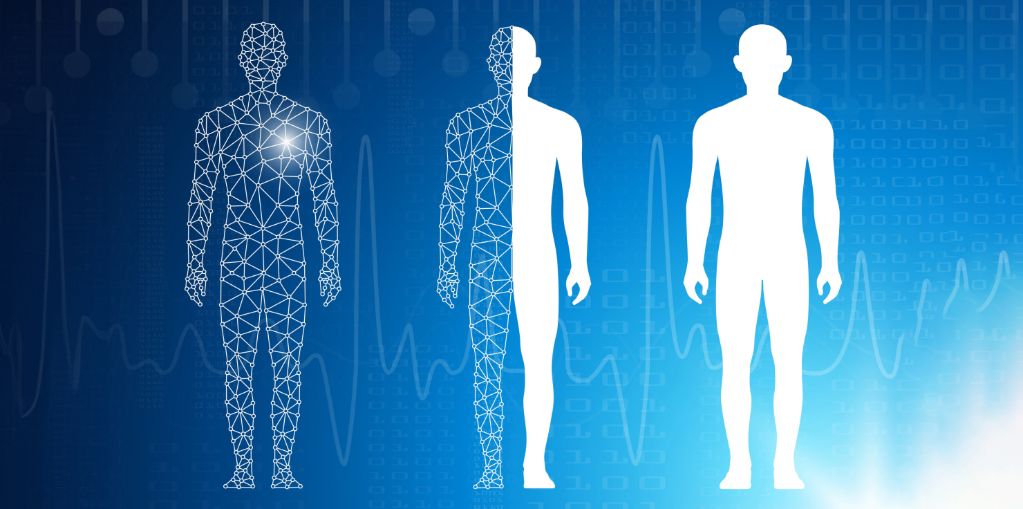 PEMF Therapy and Its Mechanisms: Glossary of Terms Cellular Regeneration